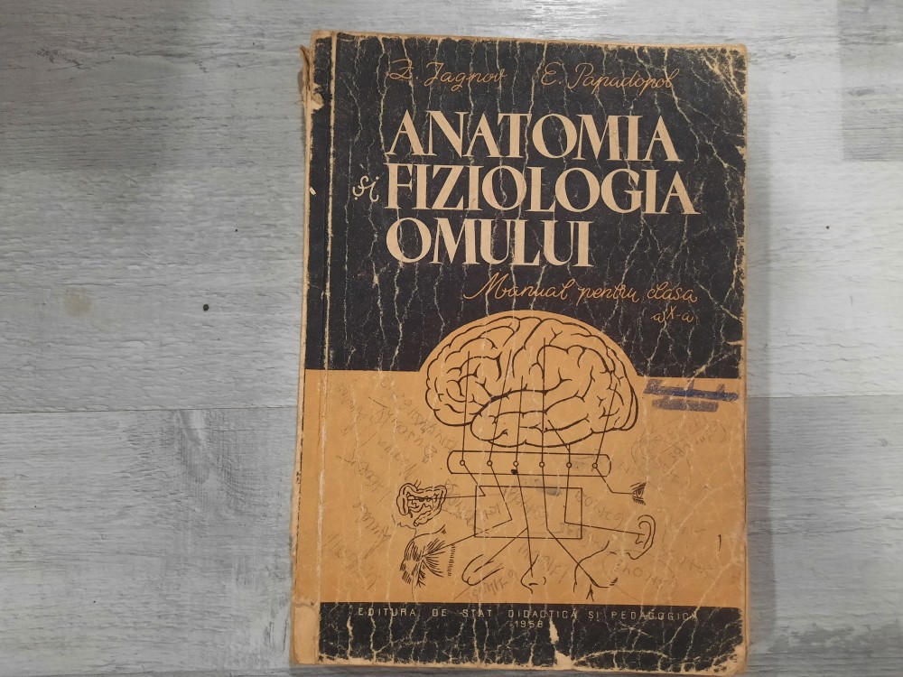 Anatomia si fiziologia omului.Manual pentru clasa a Xa de Z.Iagnov,E ...