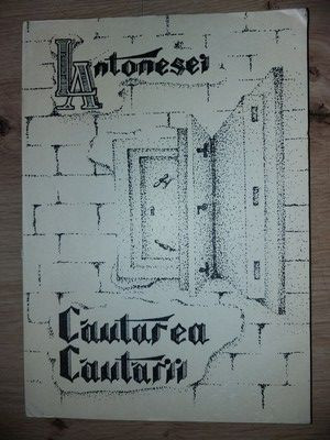 Cautarea cautarii- L. Antonesei foto