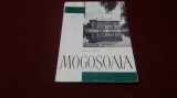 RADU POPA - MOGOSOAIA