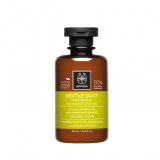 APIVITA Șampon delicat de zi cu zi pentru &icirc;ngrijirea părului holistică - Mușețel german și miere 250ml