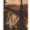 CPI B 11162 CARTE POSTALA - BUCEGI. VALEA HOROABEI, RPR