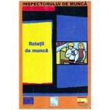 - Ghidul inspectorului de munca - Relatii de munca - 105798