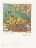 AT7 -Carte Postala-AUSTRIA- Karl Weber Art Publisher, Muhlau, Tirol, Necirculata, Fotografie