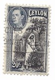 Ceylon - Regele George al VI-lea, 1938-1949 - 20 C, obliterat