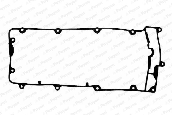 PAYEN JM5074 Garnitura, capac supape