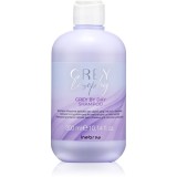 Inebrya Greylosophy Grey By Day Shampoo șampon nuanțator pentru par grizonat 300 ml