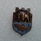 insigna AVPS Neamt