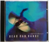 CD album - Dead Can Dance: Spiritchaser, Ambientala