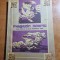 revista magazin istoric decembrie 1984