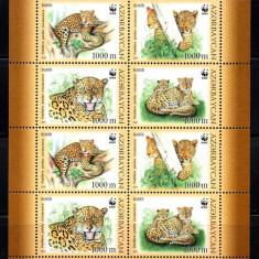 AZERBAIJAN 2005, Fauna, Feline, WWF, serie neuzata, MNH