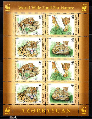 AZERBAIJAN 2005, Fauna, Feline, WWF, serie neuzata, MNH foto