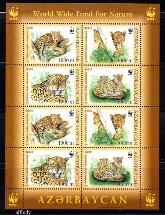 AZERBAIJAN 2005, Fauna, Feline, WWF, serie neuzata, MNH