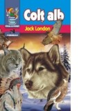 Colt Alb