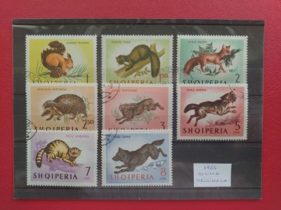 ALBANIA - 1964 foto