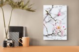 Tablou Canvas, "Magnolie delicată &icirc;nflorită primăvara", Floare, Frumusețe, Delicatețe, Primăvară, Natură, Petale, Culoare, Eleganță, 26 x 39 cm, CMCLA