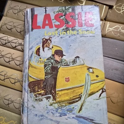 Lassie lost in the snow foto