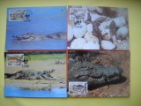 HOPCT MAXIMA NR 1063 SET 4 MAXIME GAMBIA 1984 CROCODILI DE NIL -AFRICA-FAUNA