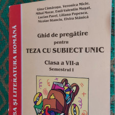 LIMBA SI LITERATURA ROMANA CLASA A 7 A SEMESTRUL I TEZA CU SUBIECT UNIC MUSAT