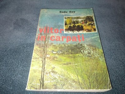 RADU REY - VIITOR IN CARPATI foto