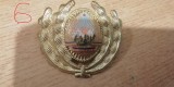 QW14 - Emblema militara / cuc - uscat - comunism - piesa de colectie