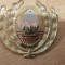 QW14 - Emblema militara / cuc - uscat - comunism - piesa de colectie