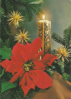 Ungaria, carte postala felicitare de Craciun, circulata in Romania, 1976 foto