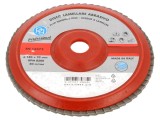Disc de şlefuit cu lambouri PG PROFESSIONAL 180mm 22mm granulație 120 pentru lemn și metal