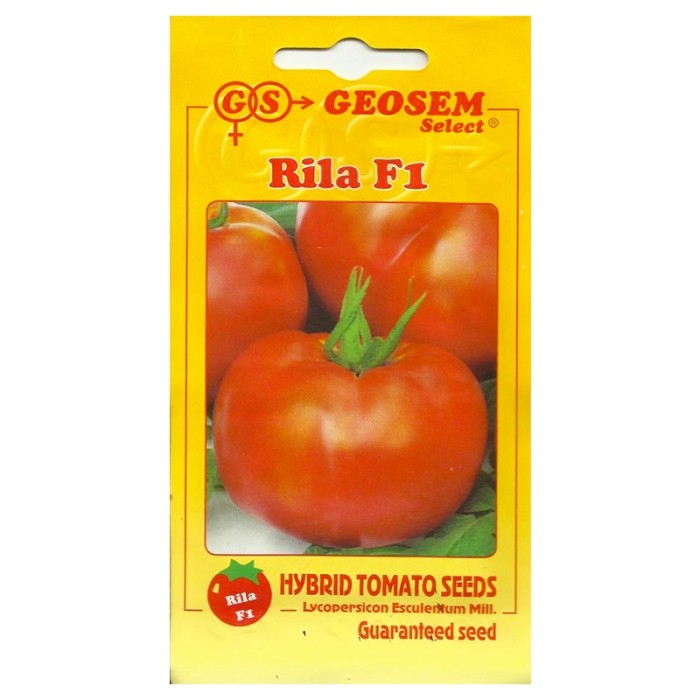 Tomate Rila F1 250 sem