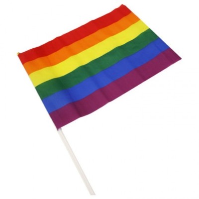 PRIDE - LGBT FLAG LARGE PENNANT foto
