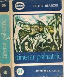 Cumpara ieftin Itinerar Psihiatric - Petre Branzei, Medicina, 1979, 558 pagini, Junimea Iasi, Carte veche