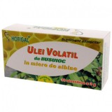 Ulei Busuioc in Miere Hofigal 30monodoze