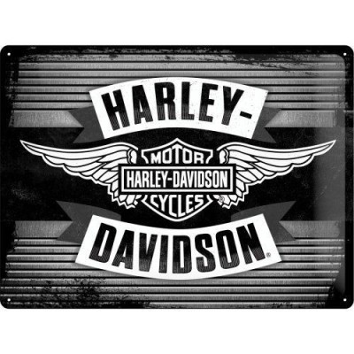 Placa metalica - Harley-Davidson-Wings Logo Metal - 30x40 cm foto