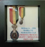 MEDALIE - 1958 HABILETE MORALITE CL.ll [ MERITUL MUNCII ], Europa