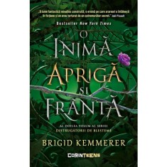 Distrugatorii de blesteme volumul 2. O inima apriga si franta, Brigid Kemmerer