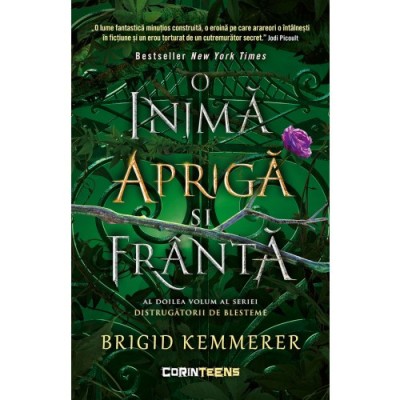 Distrugatorii de blesteme volumul 2. O inima apriga si franta, Brigid Kemmerer foto