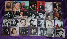 lot 28 Cd -uri Jurnalul - muzica de colectie Tudor Gheorghe Mircea Baniciu Rosu si Negru Dan Spataru Maria Tanase Ioana Radu Anca Parghel