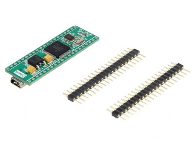Placă Prototip ARM Texas MINI-M4 pentru Stellaris USB Micro foto