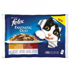 Plicule? FELIX Fantastic Duo - carne delicioasa in gelatina, 400 g foto