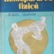 Iordache Enache - Autoapararea Fizica (1990)