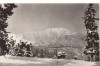 CPIB 22693 - CARTE POSTALA - VEDERE SPRE PASIVUL POSTAVARUL, RPR, Circulata, Fotografie