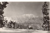 CPIB 22693 - CARTE POSTALA - VEDERE SPRE PASIVUL POSTAVARUL, RPR