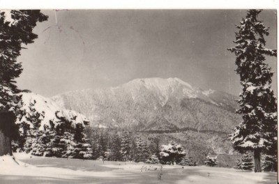 CPIB 22693 - CARTE POSTALA - VEDERE SPRE PASIVUL POSTAVARUL, RPR foto