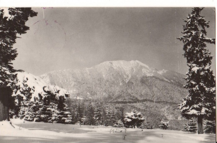 CPIB 22693 - CARTE POSTALA - VEDERE SPRE PASIVUL POSTAVARUL, RPR