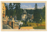 3197 - SINAIA, Prahova, Pelisor Castle, Romania - old postcard - unused, Necirculata, Printata