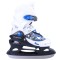 icon 1