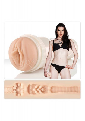 10 Fleshlight Stoya Destroya Masturbator foto