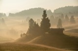 Tablou Canvas, "Dimineață &icirc;nvăluită de cețuri aurii", Cabană, Dealuri, Ceață, Răsărit, Pădure, Liniște, Natură, Peisaj, Umbre, Serenitate, 39 x 26 cm,