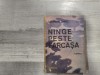Ninge peste Farcasa de Laurian Ante