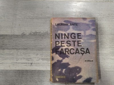 Ninge peste Farcasa de Laurian Ante foto