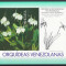 Venezuela 2001 Mi 3441 bl 66 MNH - Orhidee